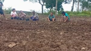 Kelompok Revolusi Laksanakan Pembuatan Bedeng Kontur sebagai Persiapan Pengembangan Budidaya Sayuran whatsapp image 2026 06 27 at 10.02.59 (2)