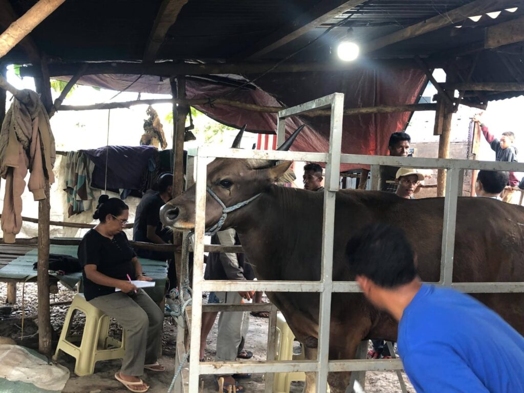 whatsapp image 2026 06 27 at 10.11.18